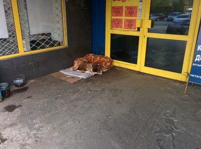 Kuche_s_Odealo.jpg