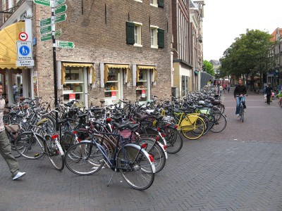 IMG_2238.jpg