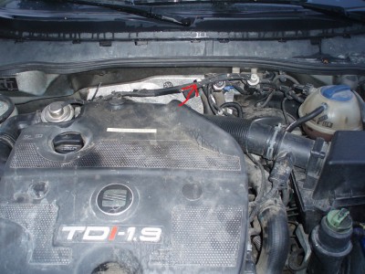 PB111875.JPG
