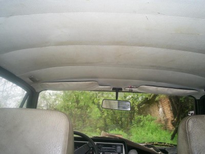 Picture 676.jpg