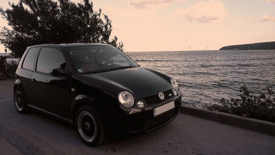 lupo.jpg