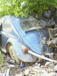 IMG0249A.jpg