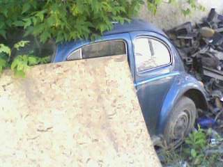 IMG0250A.jpg
