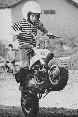 image.jpg