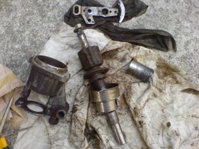 Opt_norm_ DSC00558.JPG