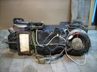 DSCI0698.JPG