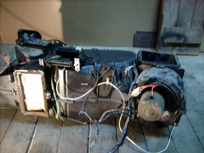DSCI0701.JPG