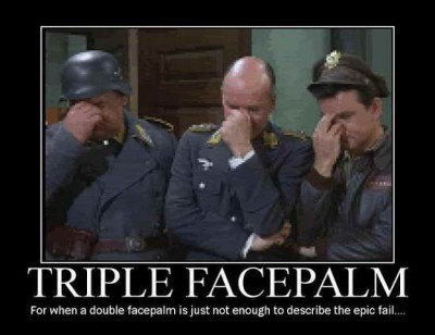 Facepalm for A IDIOT 03_thumb[1].jpg