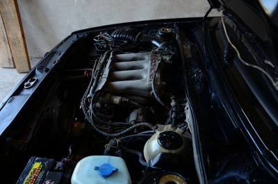 IZ1_2458.jpg
