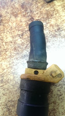 IMAG1317 - Копие.jpg
