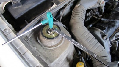IMG_5703.jpg