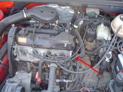 1.8 abs.jpg