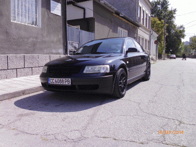 P1000368.gif