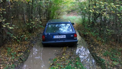 DSC_0019.jpg