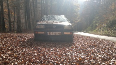 2014-11-06-419.jpg