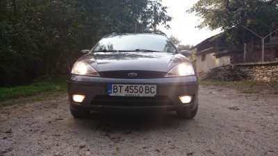 7714855u.jpg
