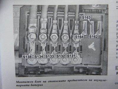 P1130098.jpg