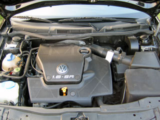 3821706.jpg