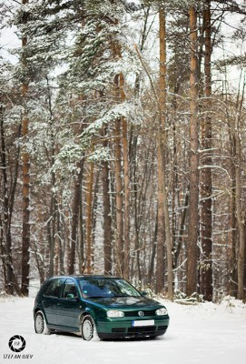 IMG_7431 - Copy.jpg