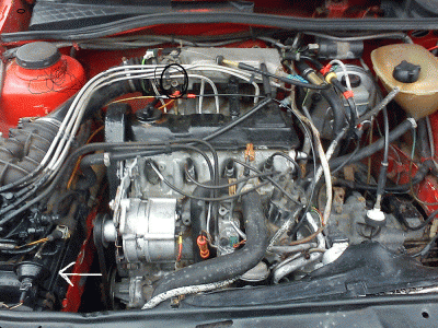 gt[1].gif