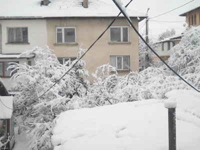 DSCN3718.jpg