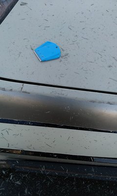 IMAG0967.jpg