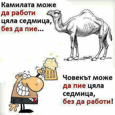 uploadfromtaptalk1424143460602.jpg