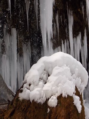 DSCN0193.JPG