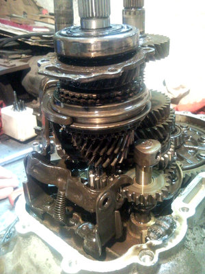 SNC00162asd.jpg