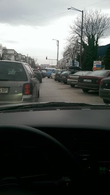 IMAG0228.jpg