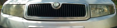 IMG_20150426_150758.jpg