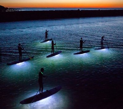 Бързи и яростни.jpg