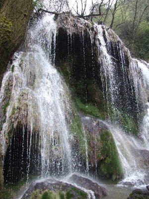 dscf0869.jpg