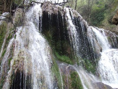 dscf0870.jpg