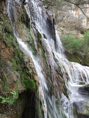 dscf0891.jpg