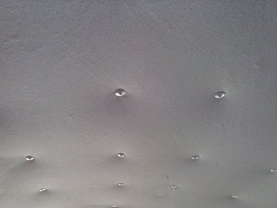 CAM00192.jpg