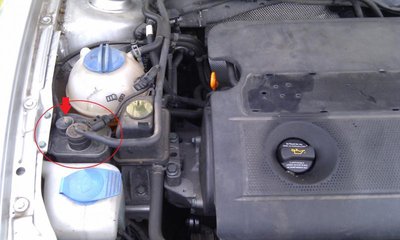 IMAG0079.jpg
