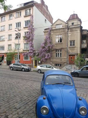 20150507_081345.jpg