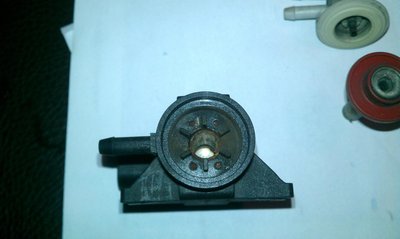IMAG0330.jpg