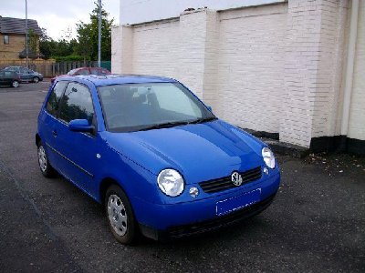 LUPO_002_1182916212.jpg
