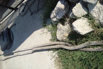 DSC04214.JPG
