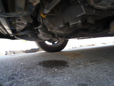 P1050213-1.jpg