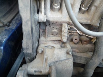 P1050220-2.jpg