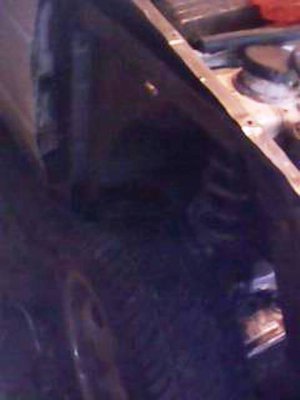IMG0357A.jpg