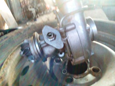 IMG0393A.jpg