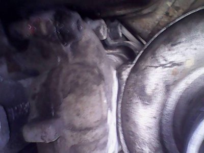 IMG0396A.jpg