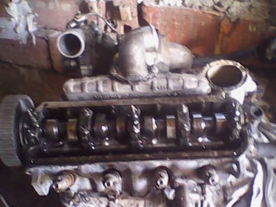 IMG0399A.jpg