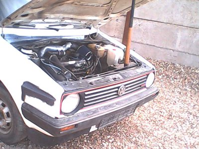 IMG0428A.jpg