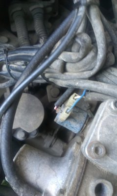 IMAG0531.jpg