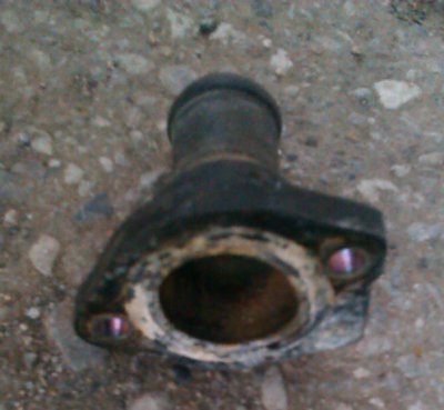 IMAG0681-1.jpg